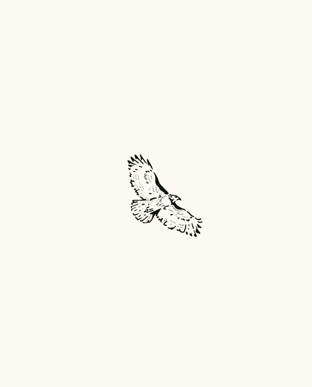 Tattoo by @kipandkoe โ illustrative