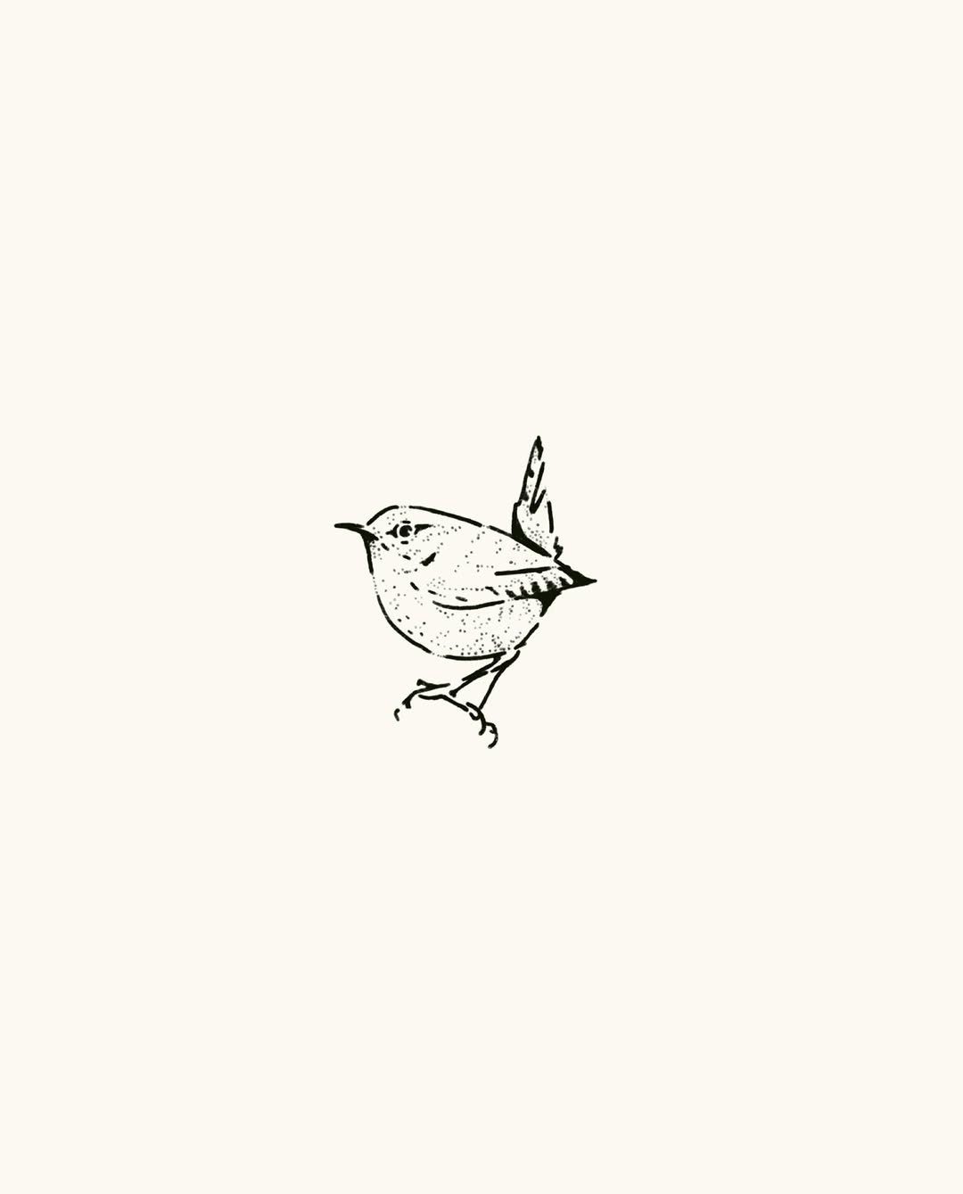 Tattoo by @kipandkoe โ illustrative, fine_line