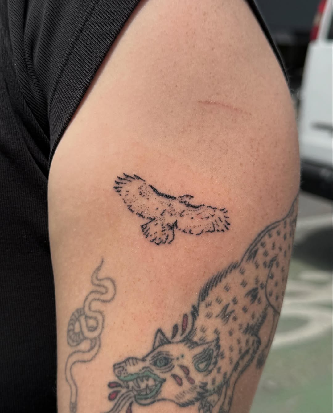 Tattoo by @kipandkoe โ fine_line, dotwork