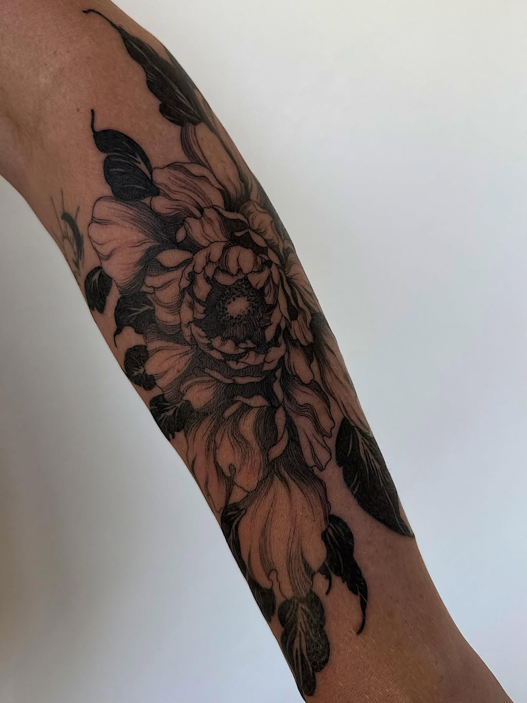 Tattoo by @bohemycollective — black_and_grey, illustrative