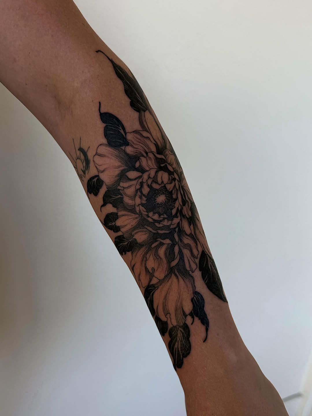 Tattoo by @bohemycollective — black_and_grey, illustrative