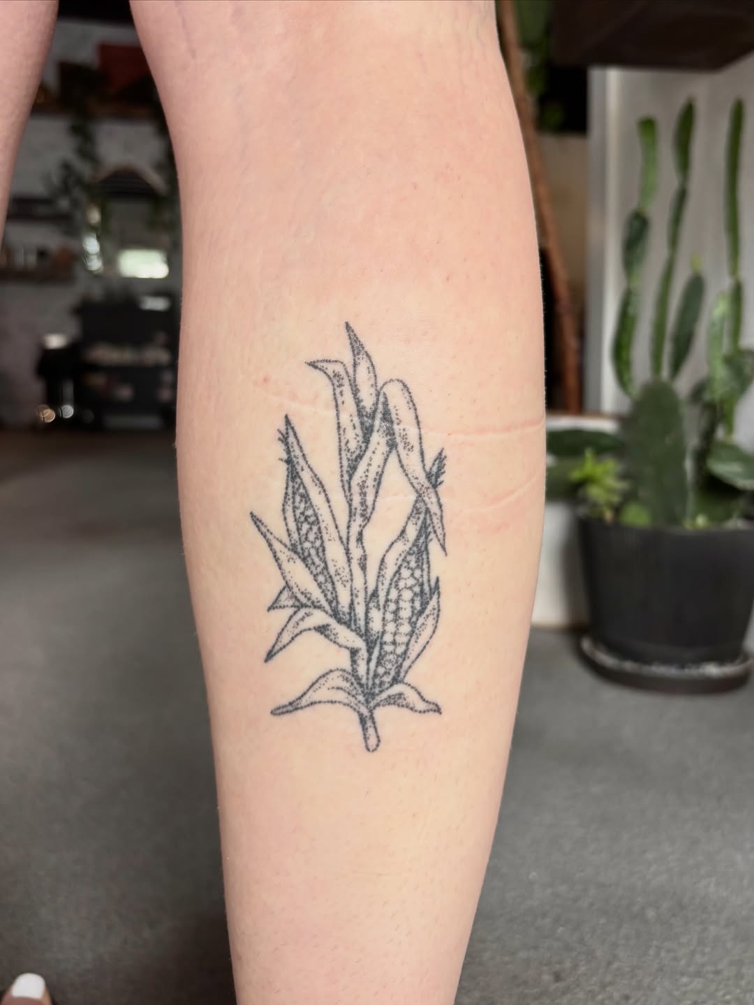 Tattoo by @seneca_studios — dotwork, illustrative