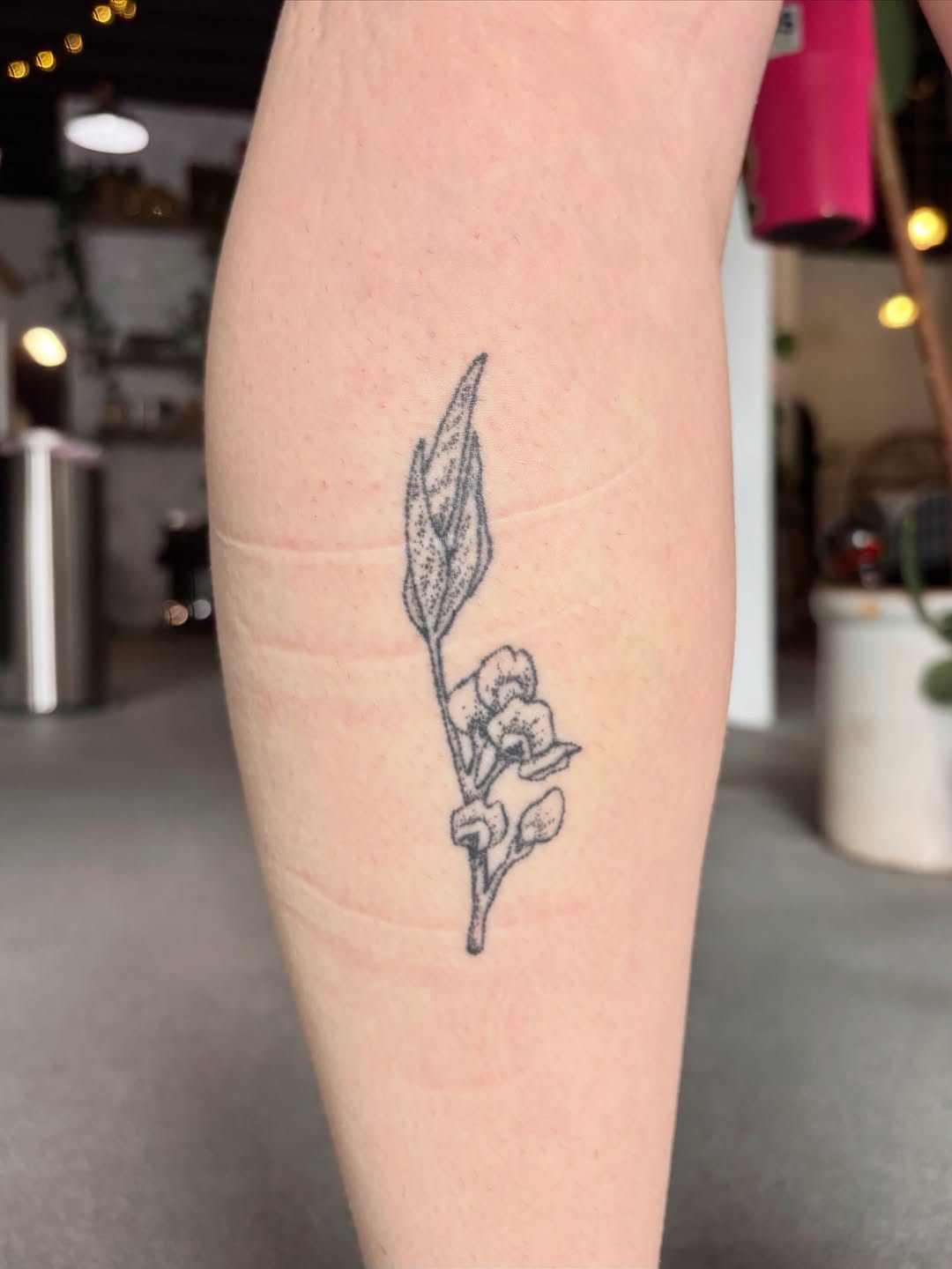Tattoo by @seneca_studios — dotwork, illustrative