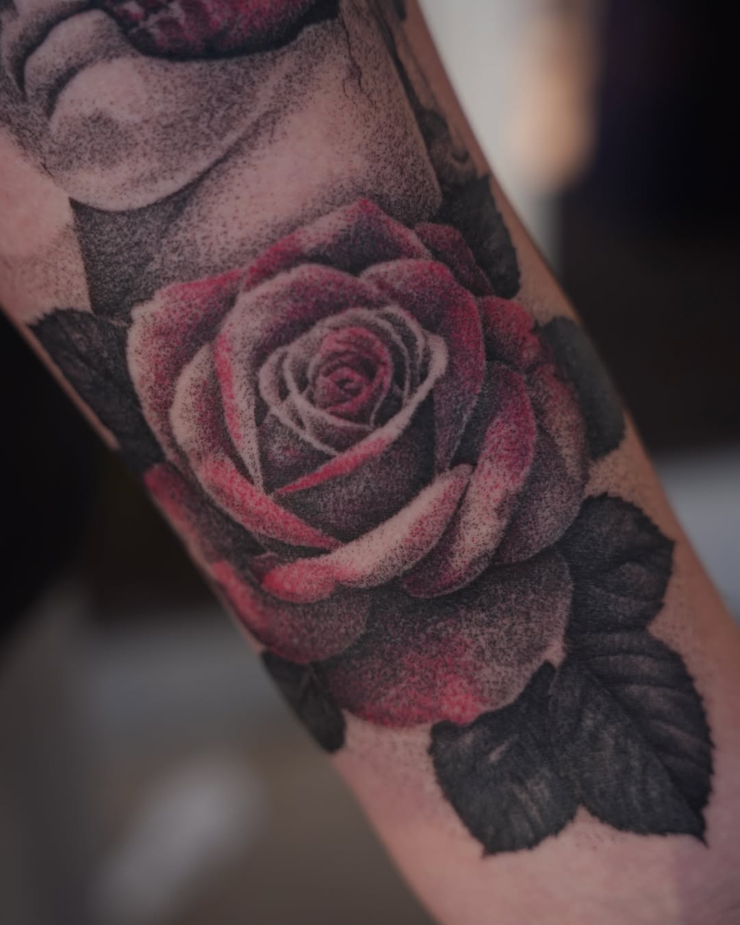 Tattoo by @doomedtattoo — dotwork, realism