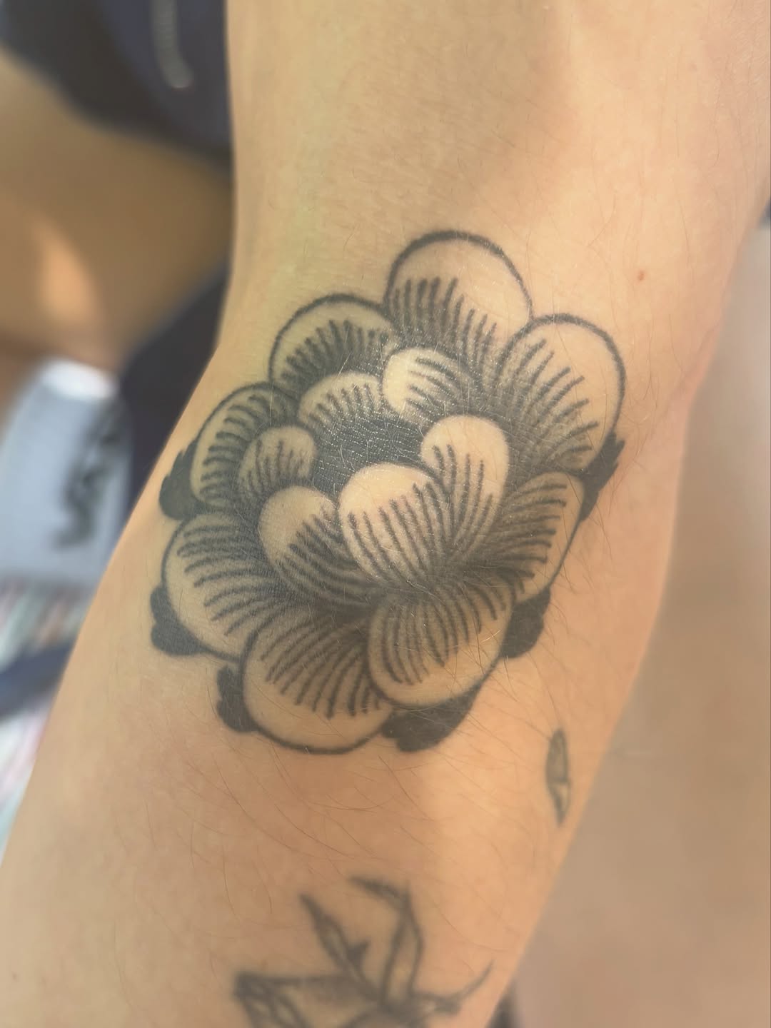 Tattoo by @vo.ink.metric โ black_and_grey, illustrative