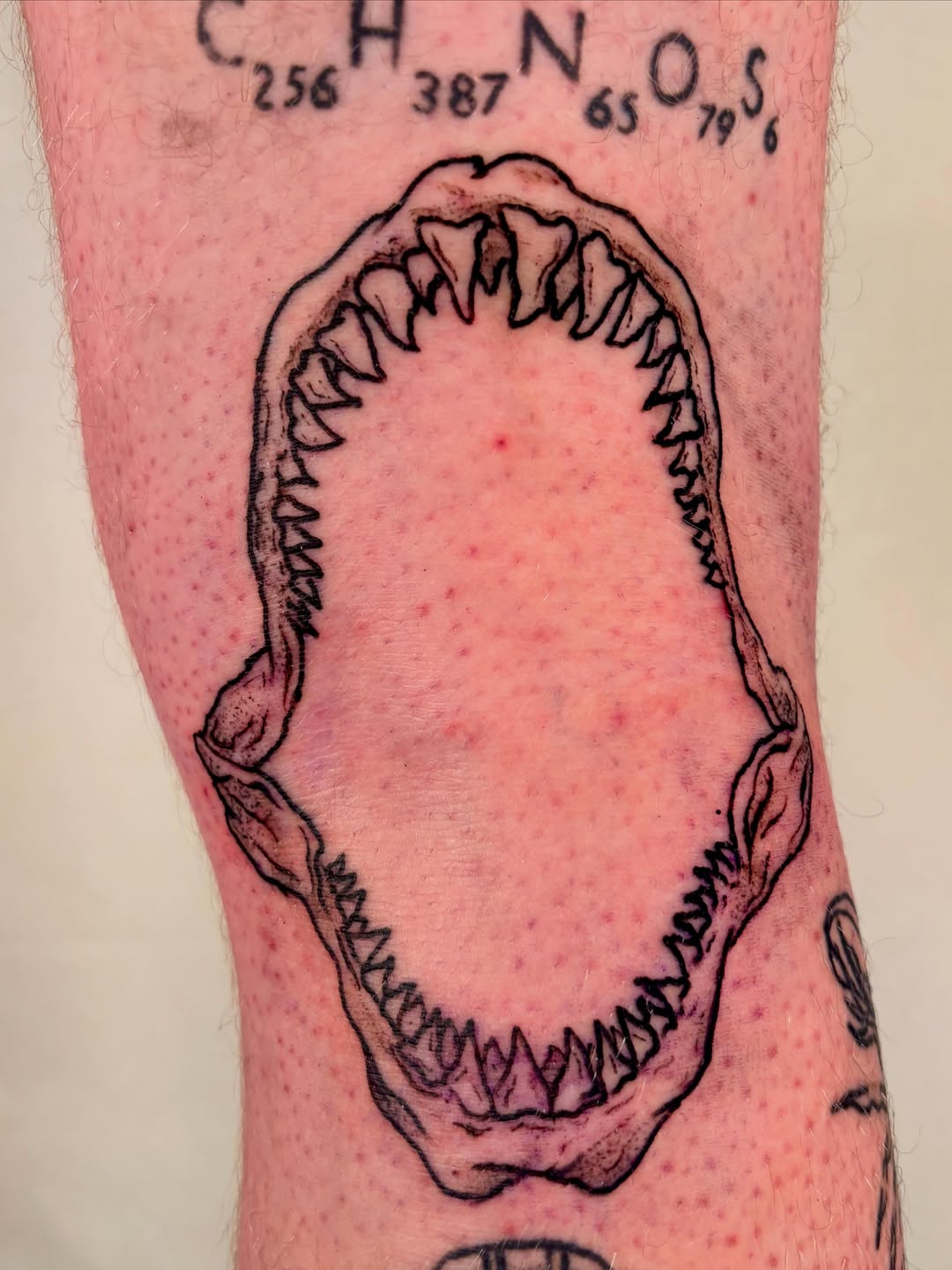 Tattoo by @hoppingfences โ black_and_grey