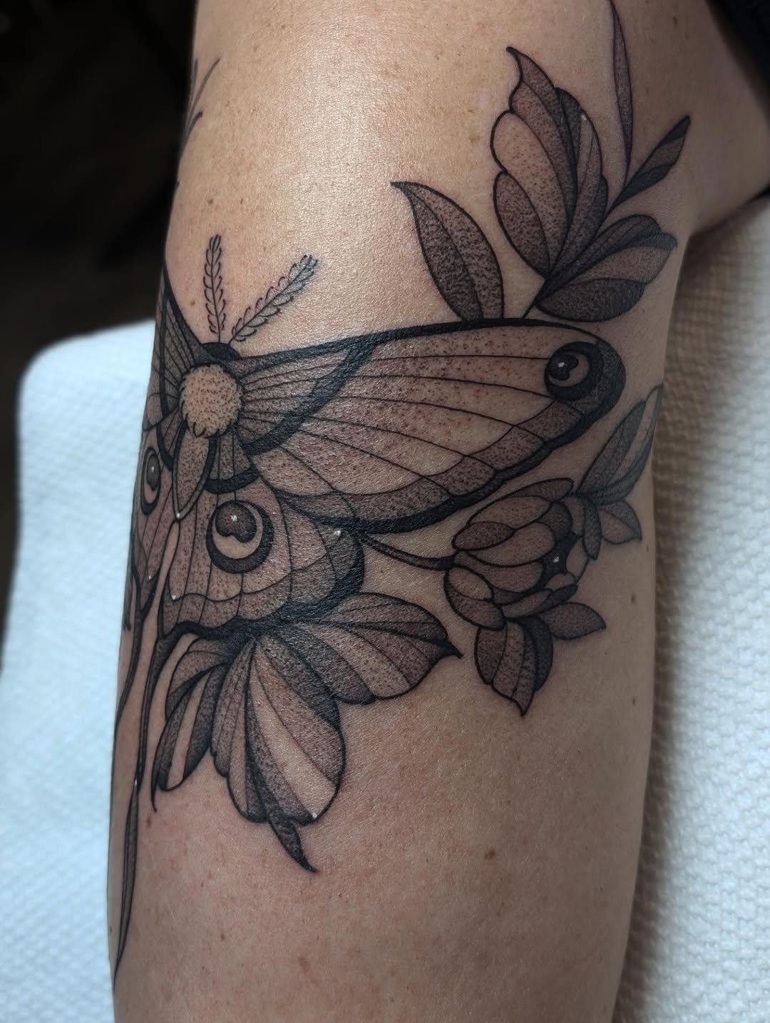 Tattoo by @kattiebaby β dotwork, black_and_grey