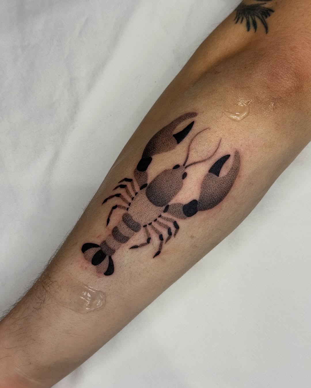 Tattoo by @julesrose.tattoos β dotwork, black_and_grey
