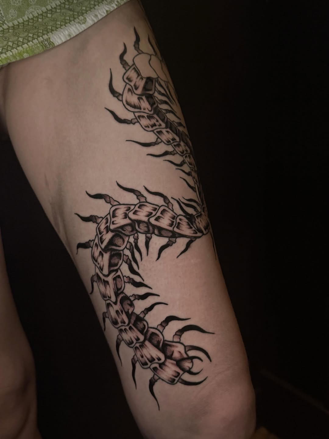 Tattoo by @jess_inks_ — blackwork, illustrative