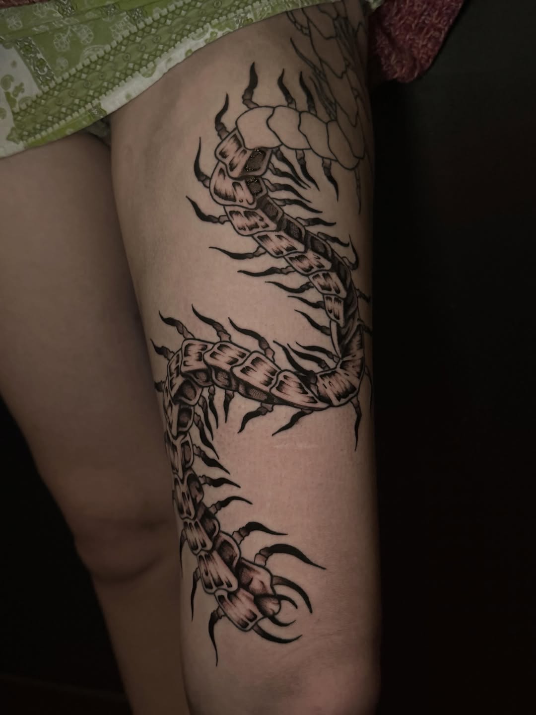 Tattoo by @jess_inks_ — blackwork, illustrative