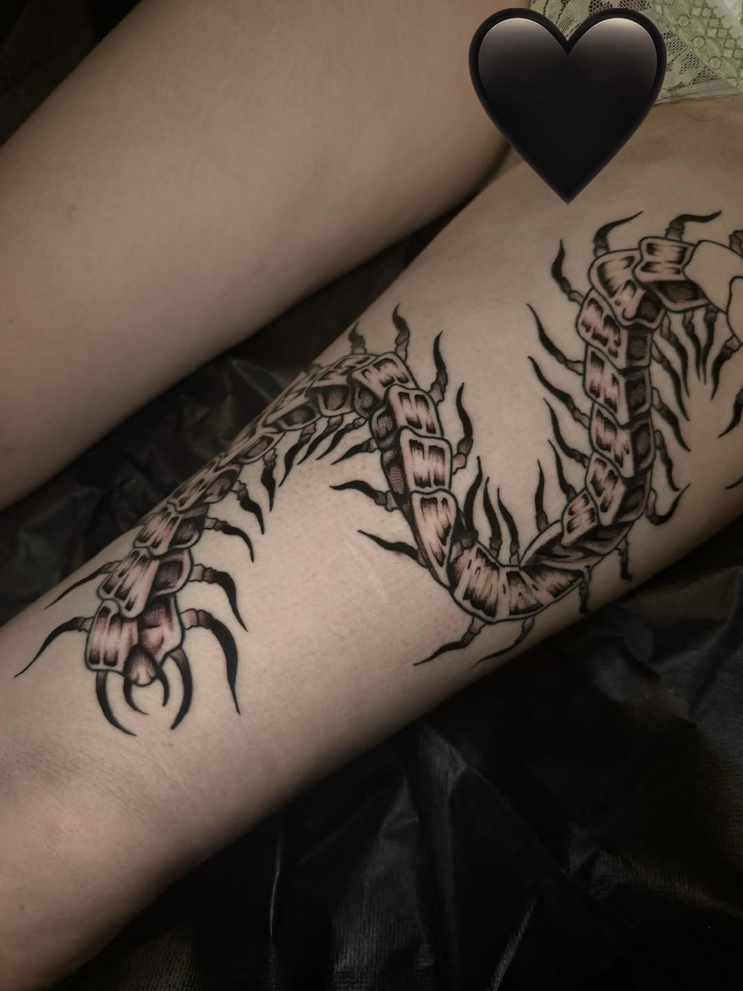 Tattoo by @jess_inks_ — illustrative, black_and_grey