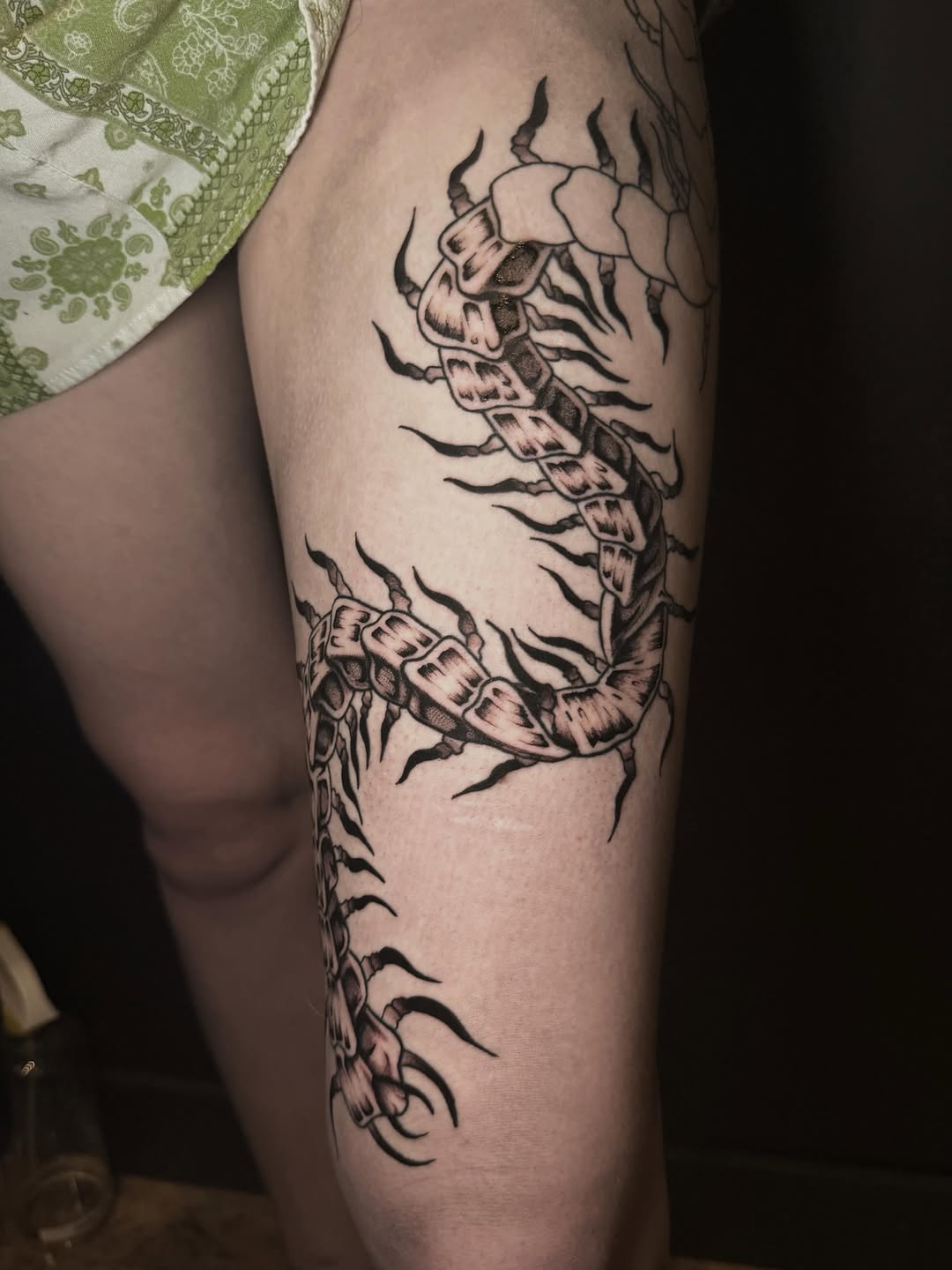 Tattoo by @jess_inks_ — illustrative, black_and_grey