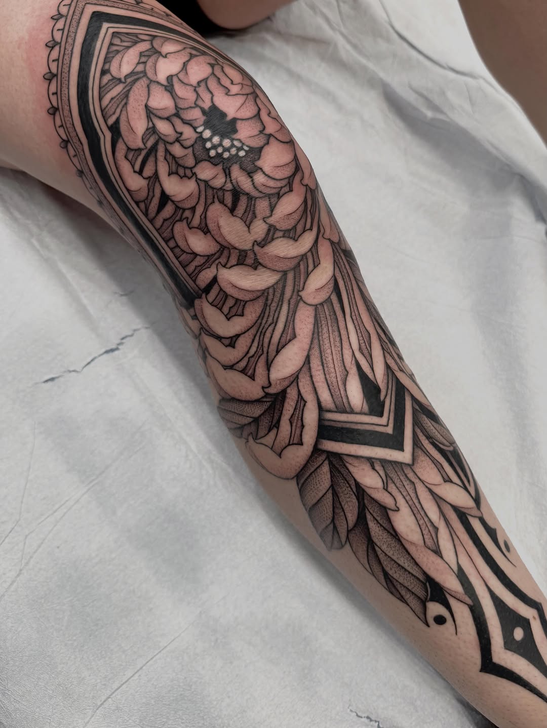Tattoo by @thiefhands — black_and_grey, ornamental