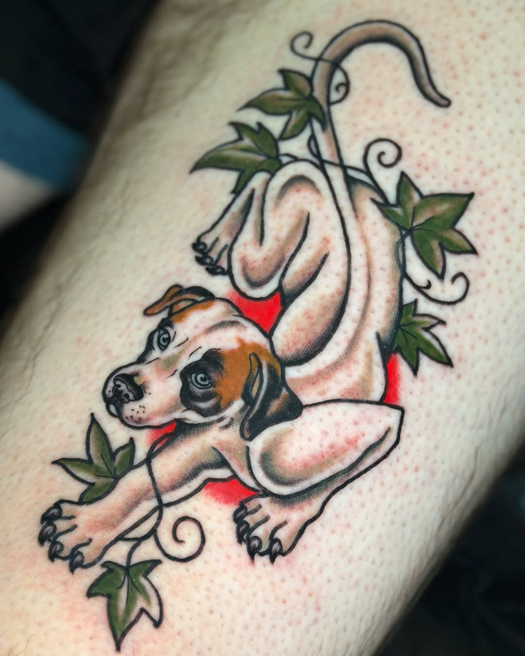 Tattoo by @renot_aragontattoo โ american_traditional, illustrative