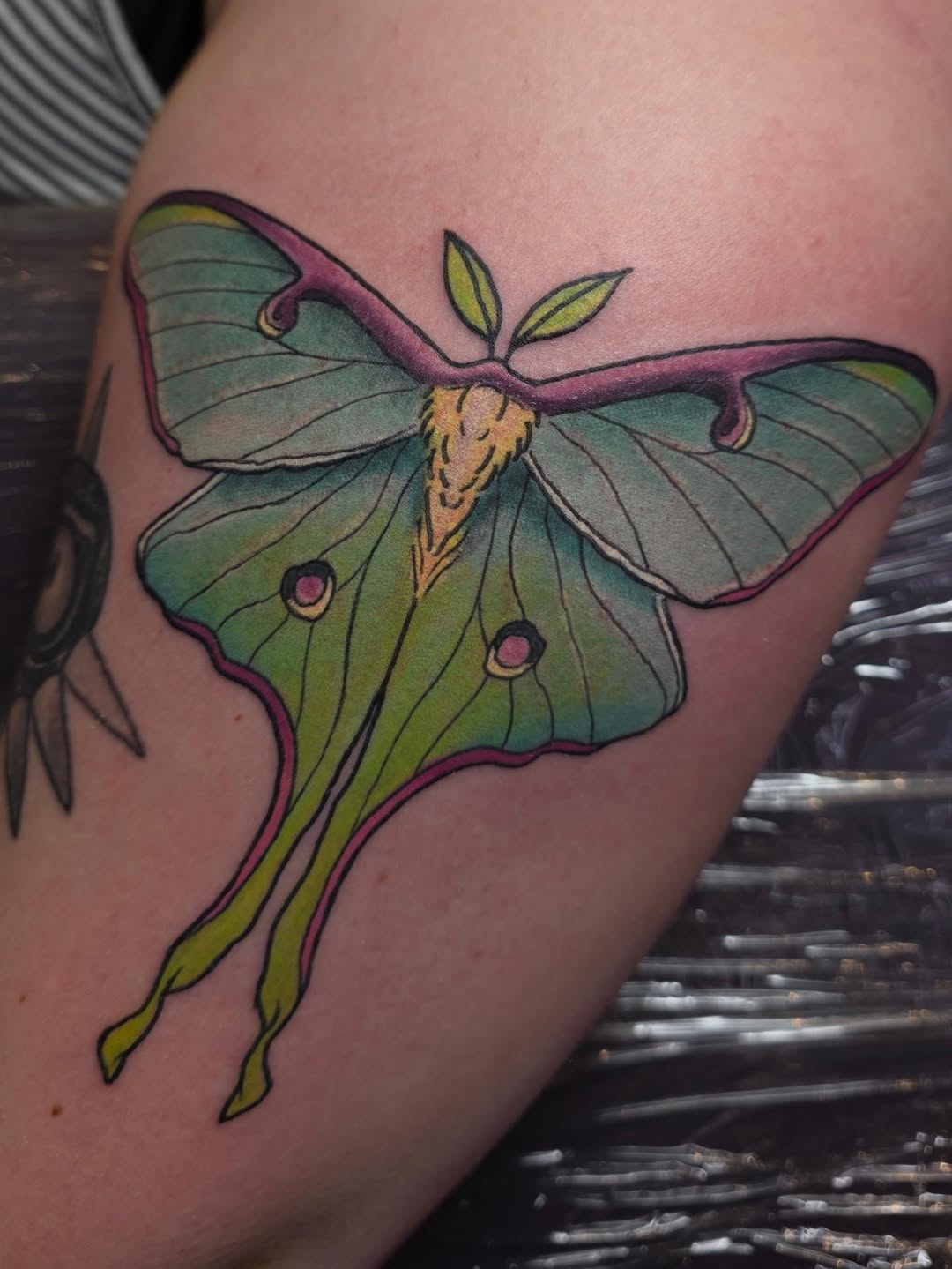 Tattoo by @embermoontattoos โ realism, fine_line