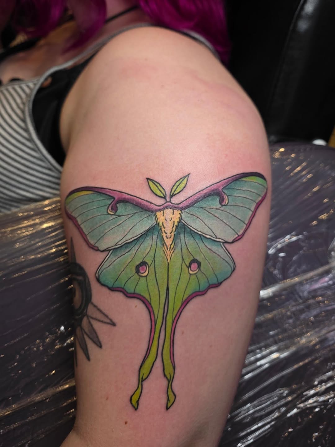 Tattoo by @embermoontattoos โ neo_traditional