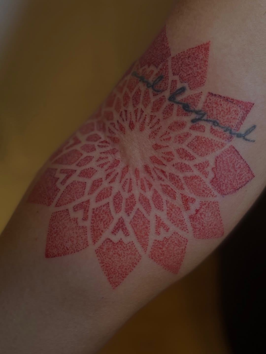 Tattoo by @fabian.hellberg — dotwork, geometric