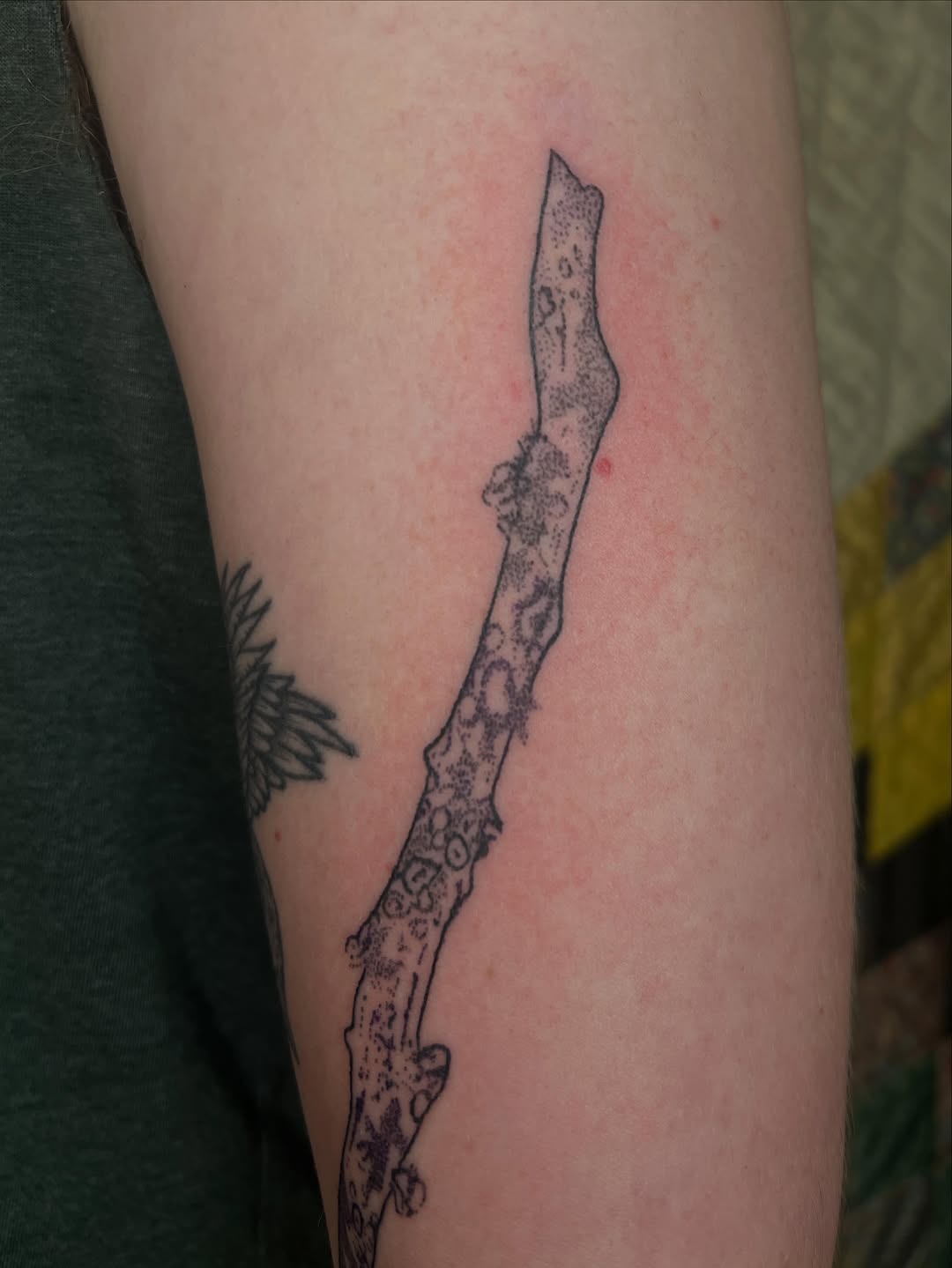 Tattoo by @soreoptimist — dotwork