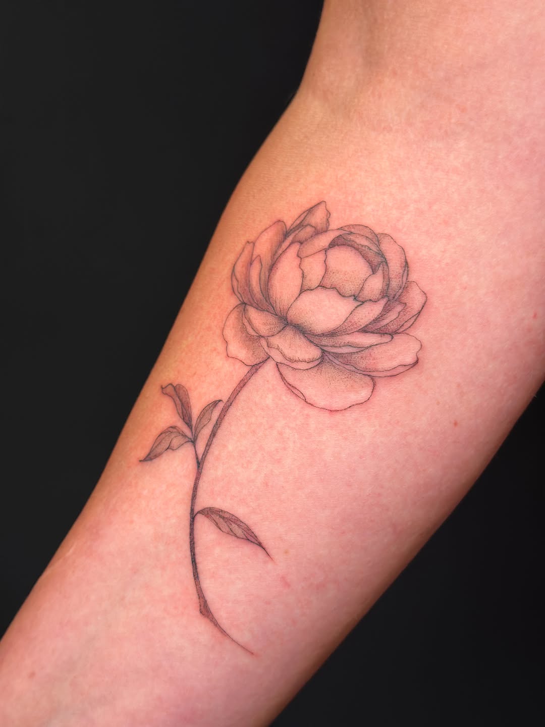 Tattoo by @tattooedbyana — fine_line