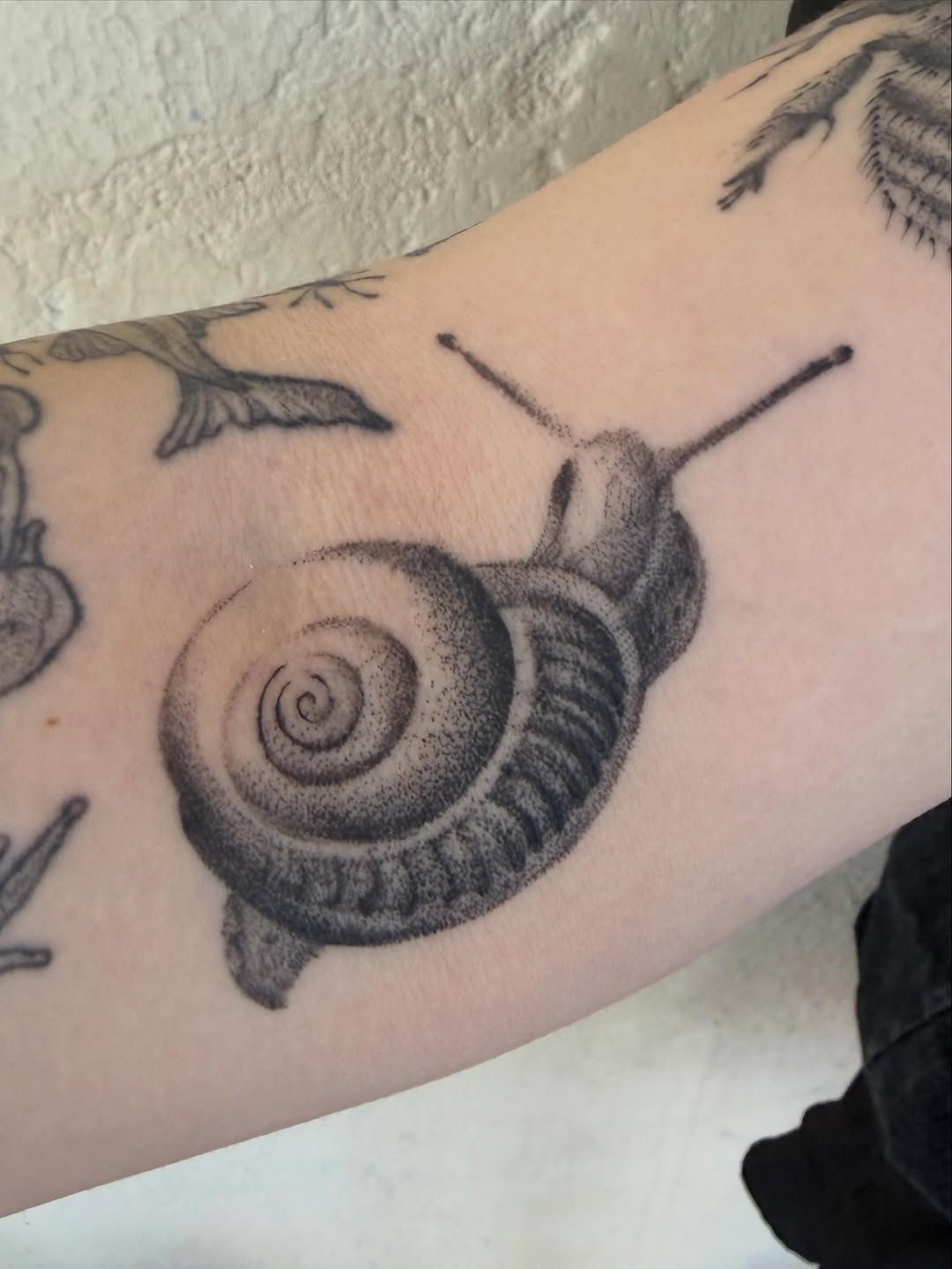 Tattoo by @polarizedbaby — dotwork, black_and_grey