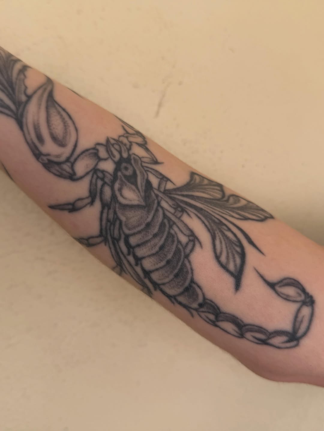 Tattoo by @polarizedbaby — black_and_grey, realism