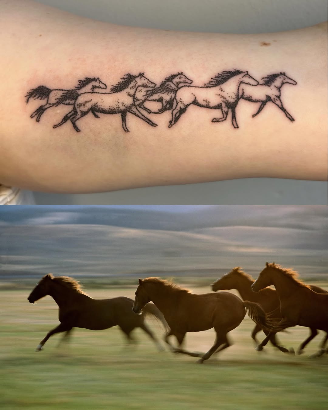 Tattoo by @glittergremliin — illustrative, dotwork