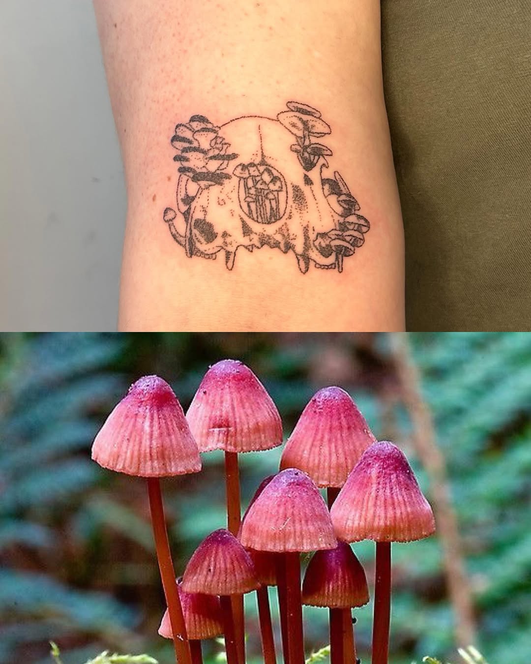Tattoo by @glittergremliin — illustrative, dotwork