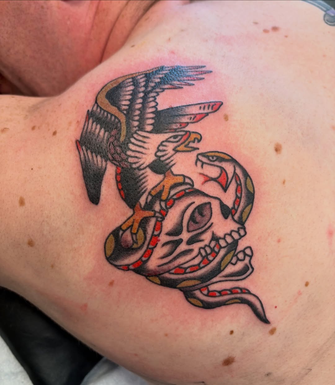 Tattoo by @sammytortellini — american_traditional