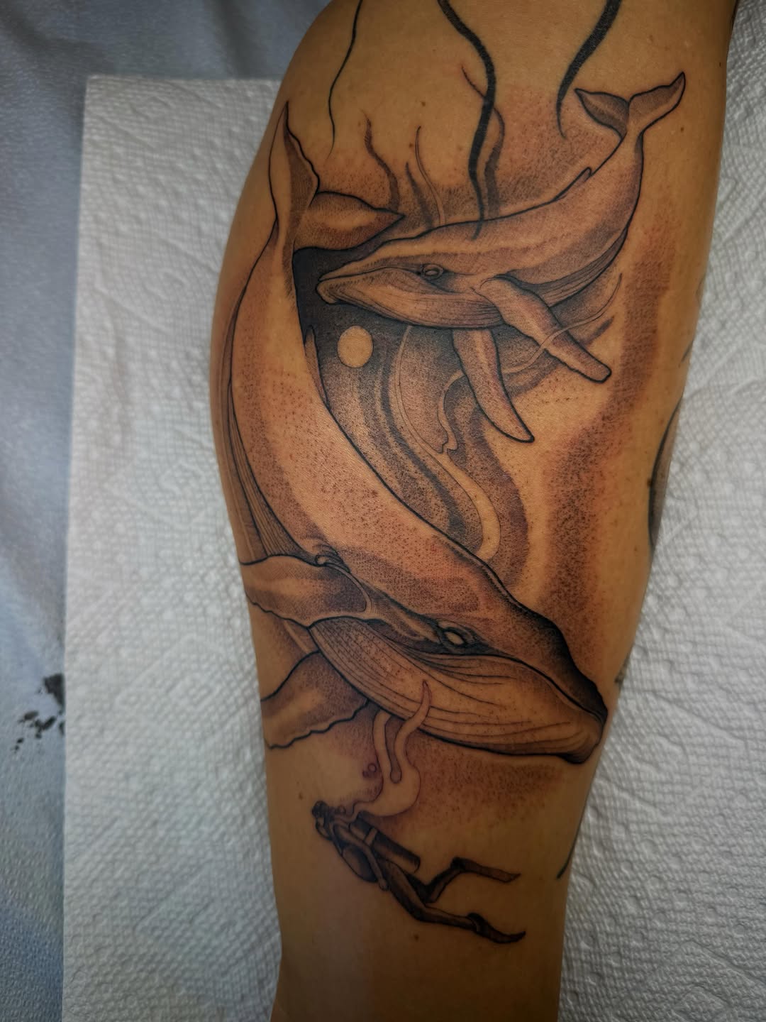Tattoo by @cattblacktattoo — realism, dotwork