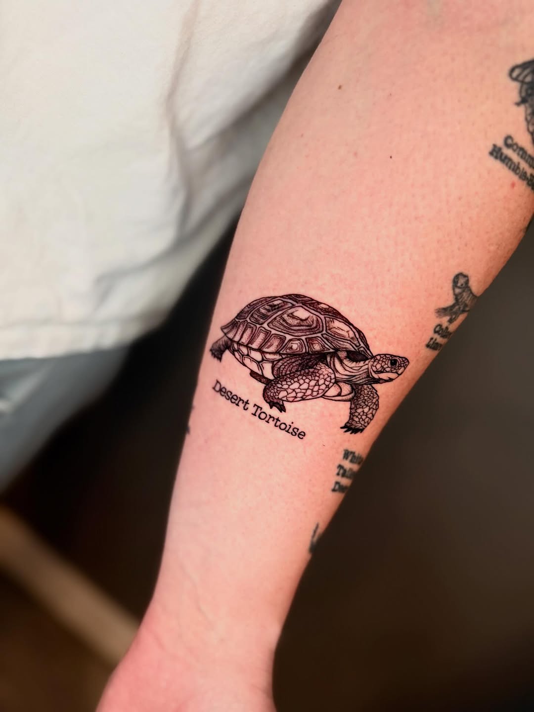 Tattoo by @amberstarrartistry — realism, black_and_grey