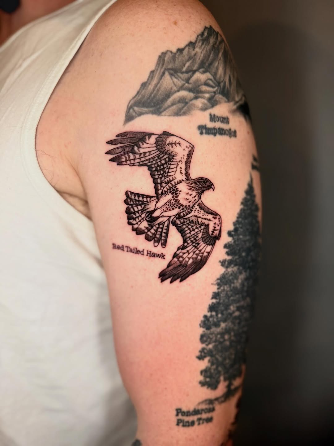 Tattoo by @amberstarrartistry — black_and_grey, realism