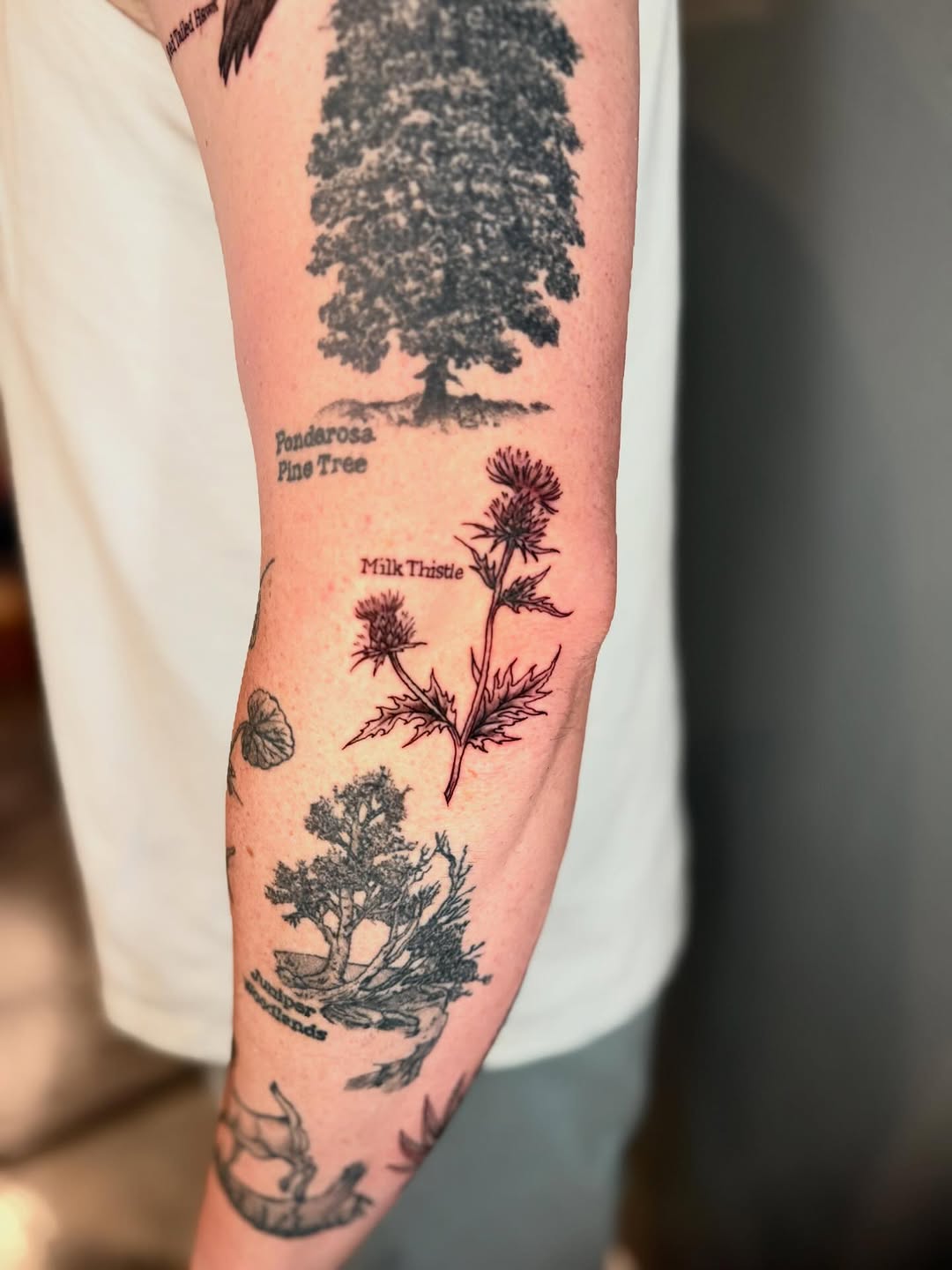 Tattoo by @amberstarrartistry — black_and_grey, realism
