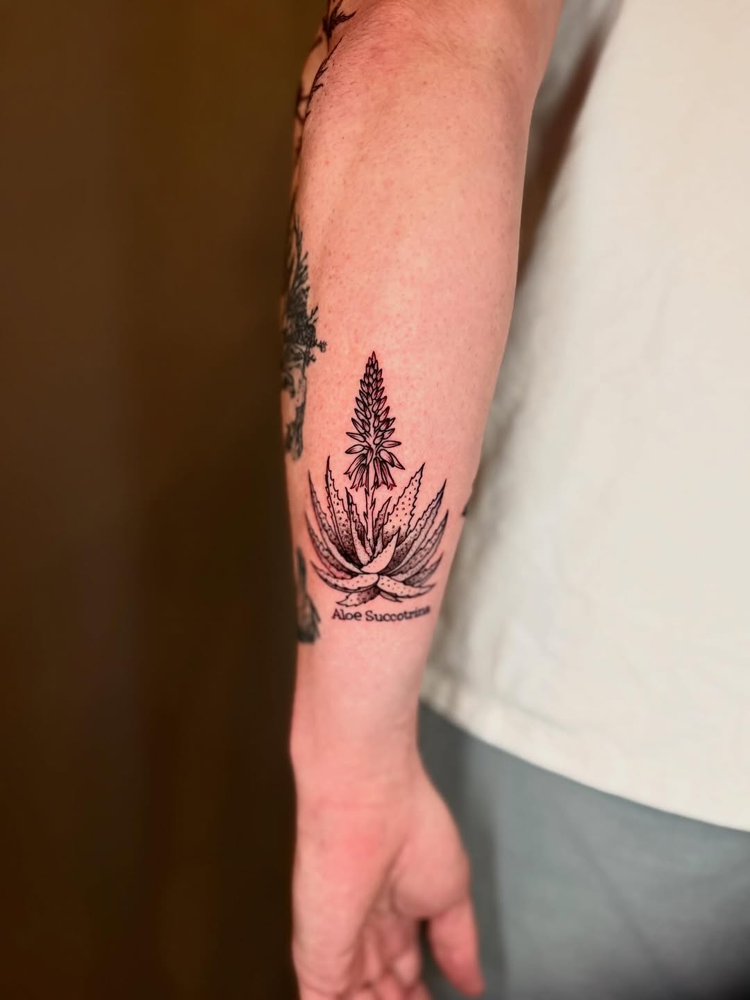 Tattoo by @amberstarrartistry — fine_line, black_and_grey