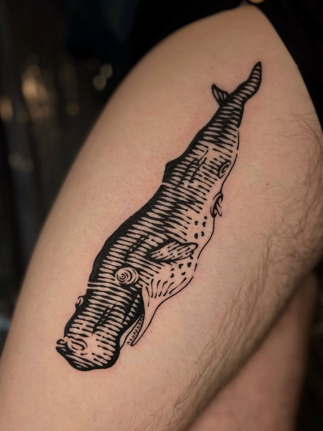 Tattoo by @wonny_wood โ blackwork, illustrative