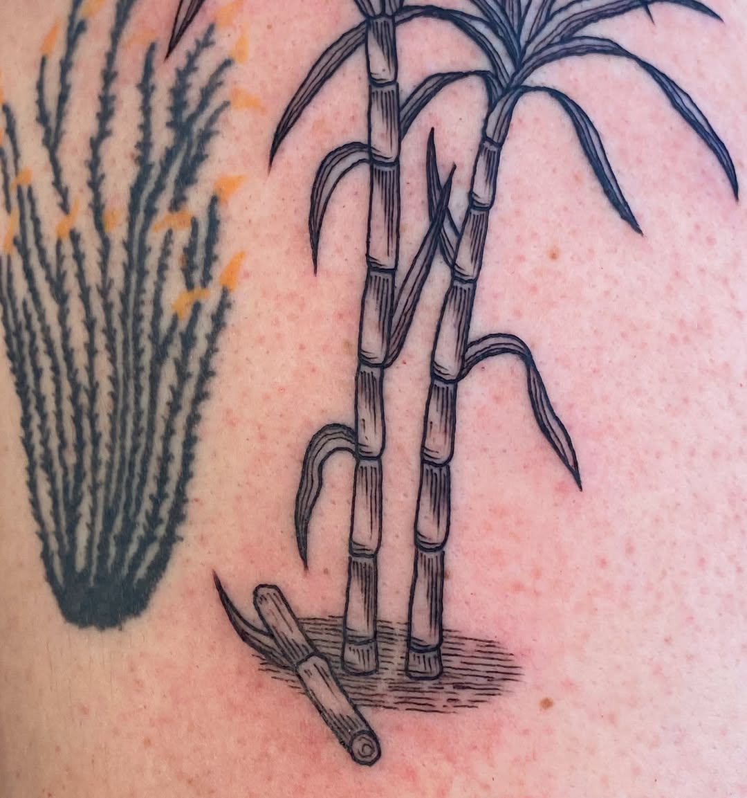 Tattoo by @rippintattoos — illustrative, black_and_grey
