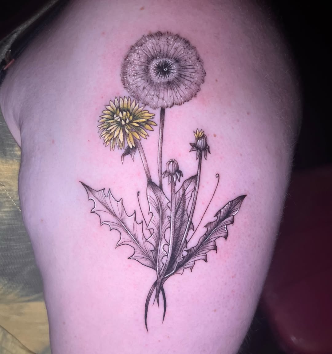 Tattoo by @kastle.pokes — fine_line, black_and_grey