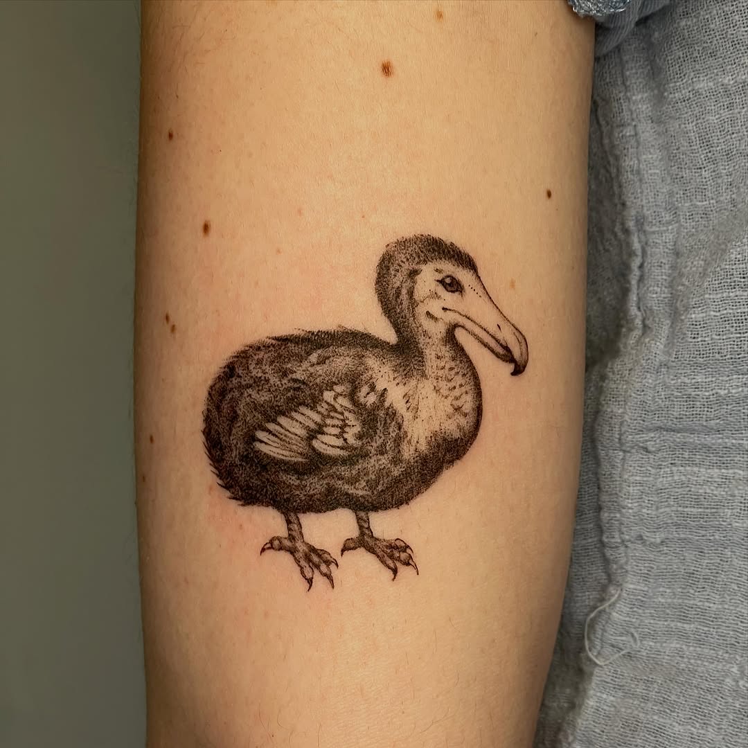 Tattoo by @iris.tats — illustrative, dotwork