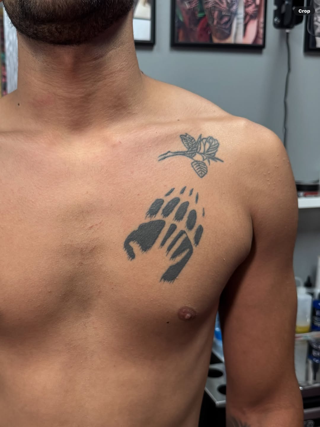 Tattoo by @tiagobrittotattoo โ illustrative