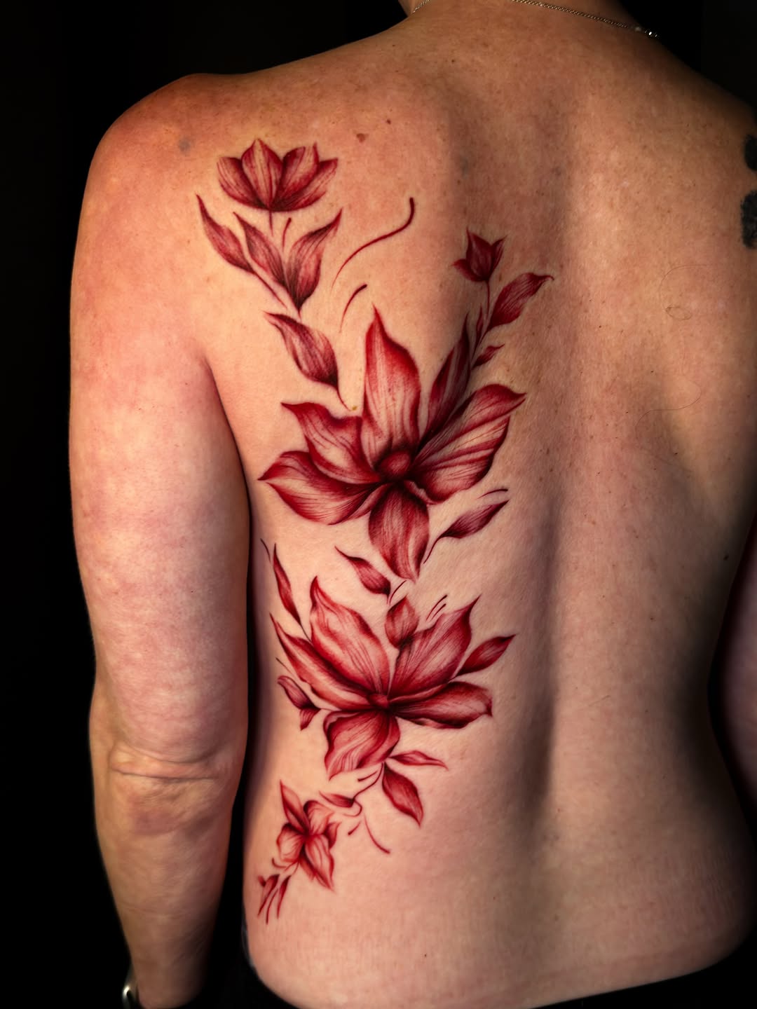 Tattoo by @mspiresinks โ illustrative, fine_line