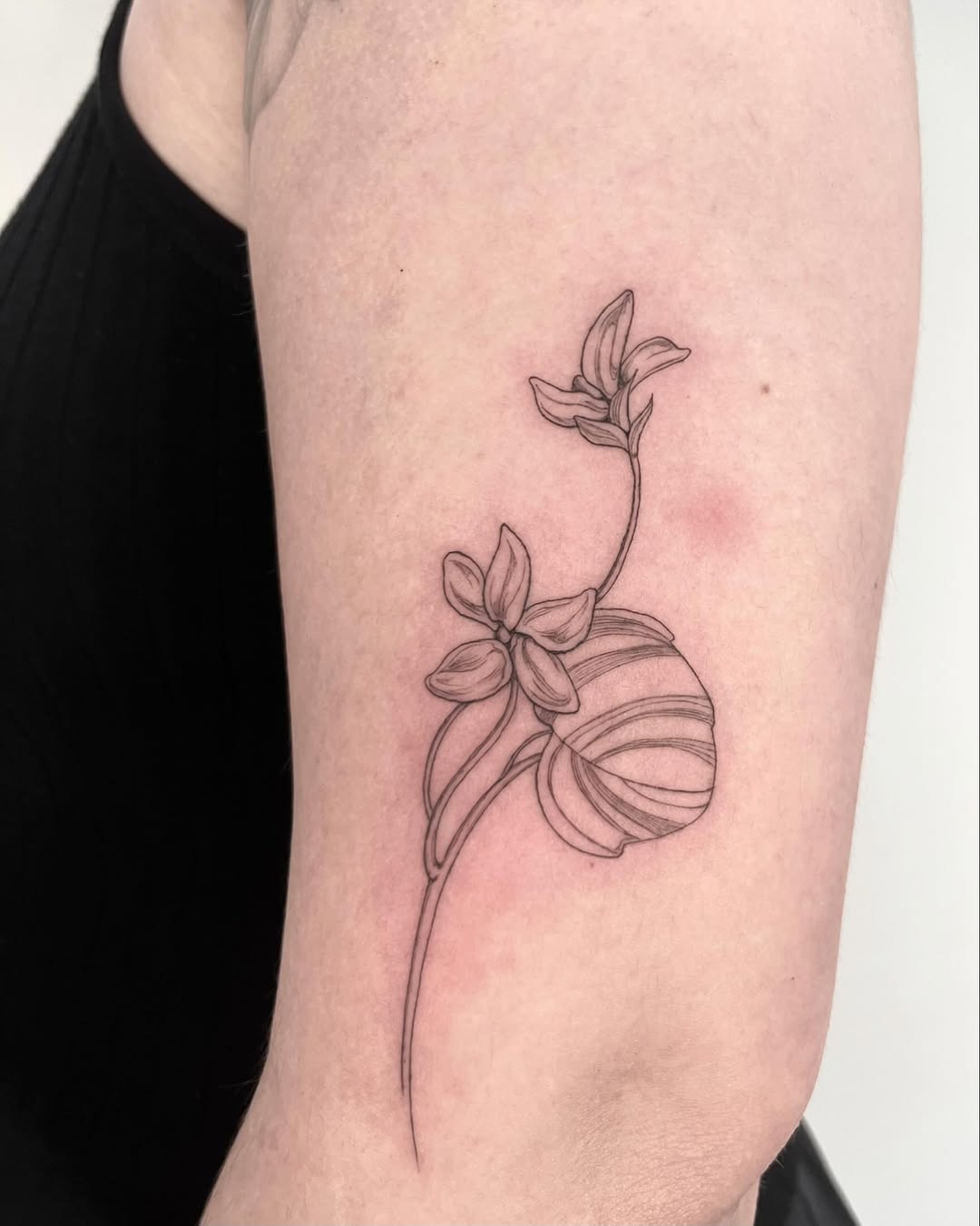 Tattoo by @teattoos β fine_line, illustrative