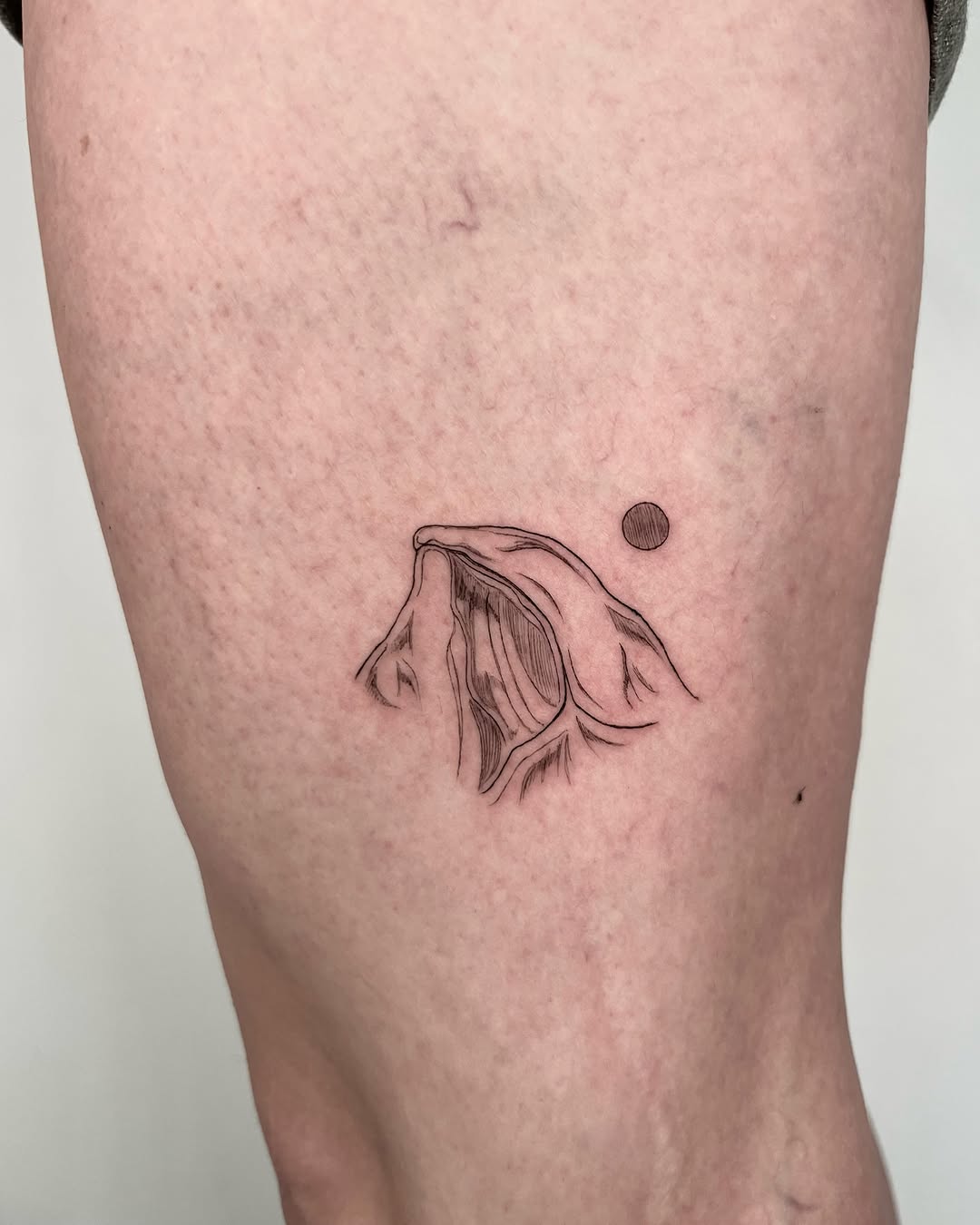 Tattoo by @teattoos β fine_line, illustrative