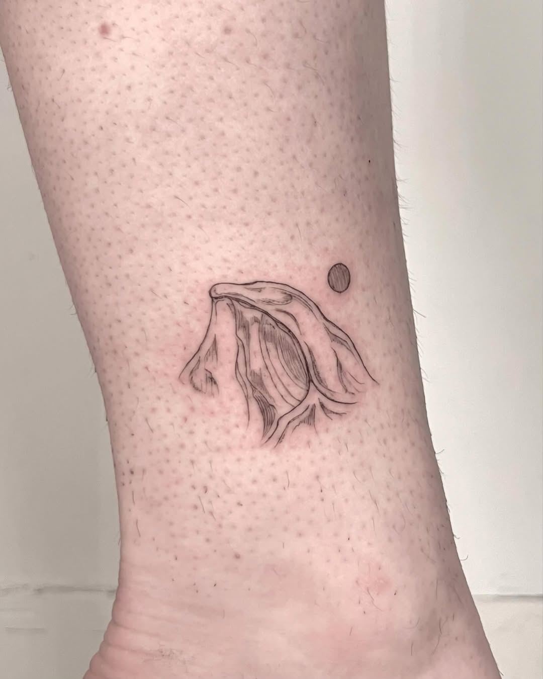 Tattoo by @teattoos β fine_line, illustrative