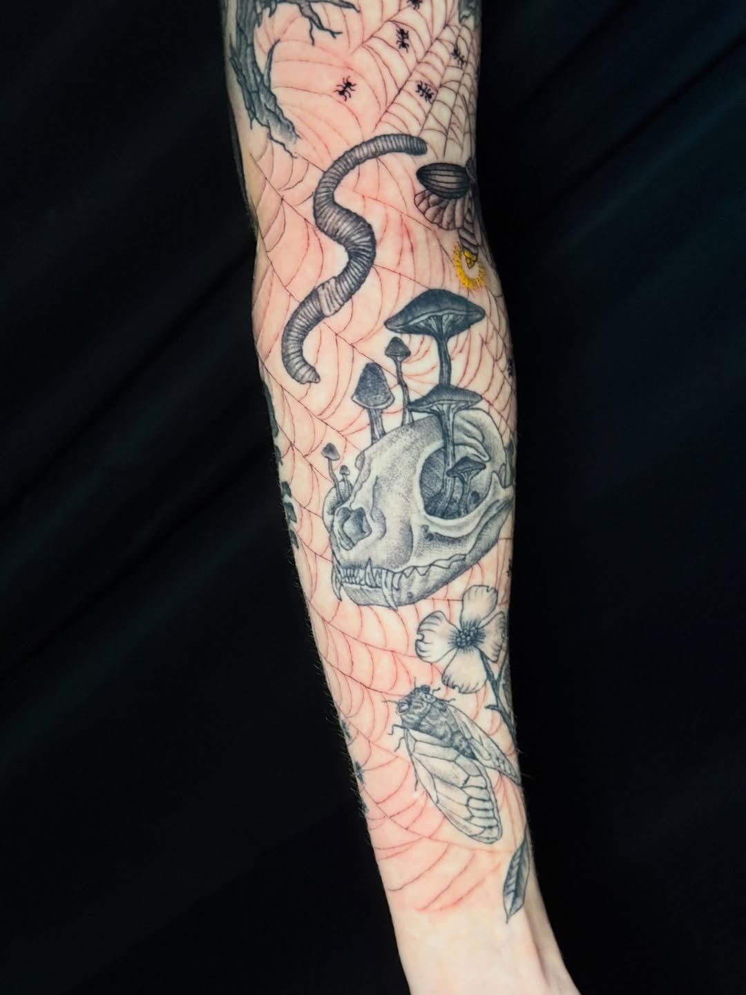Tattoo by @catastrophepoke — black_and_grey
