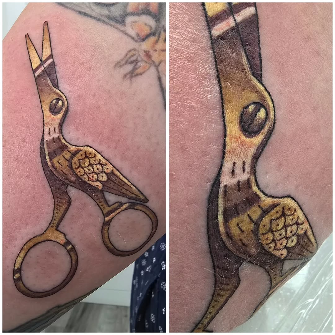 Tattoo by @catsclawtattoo — neo_traditional