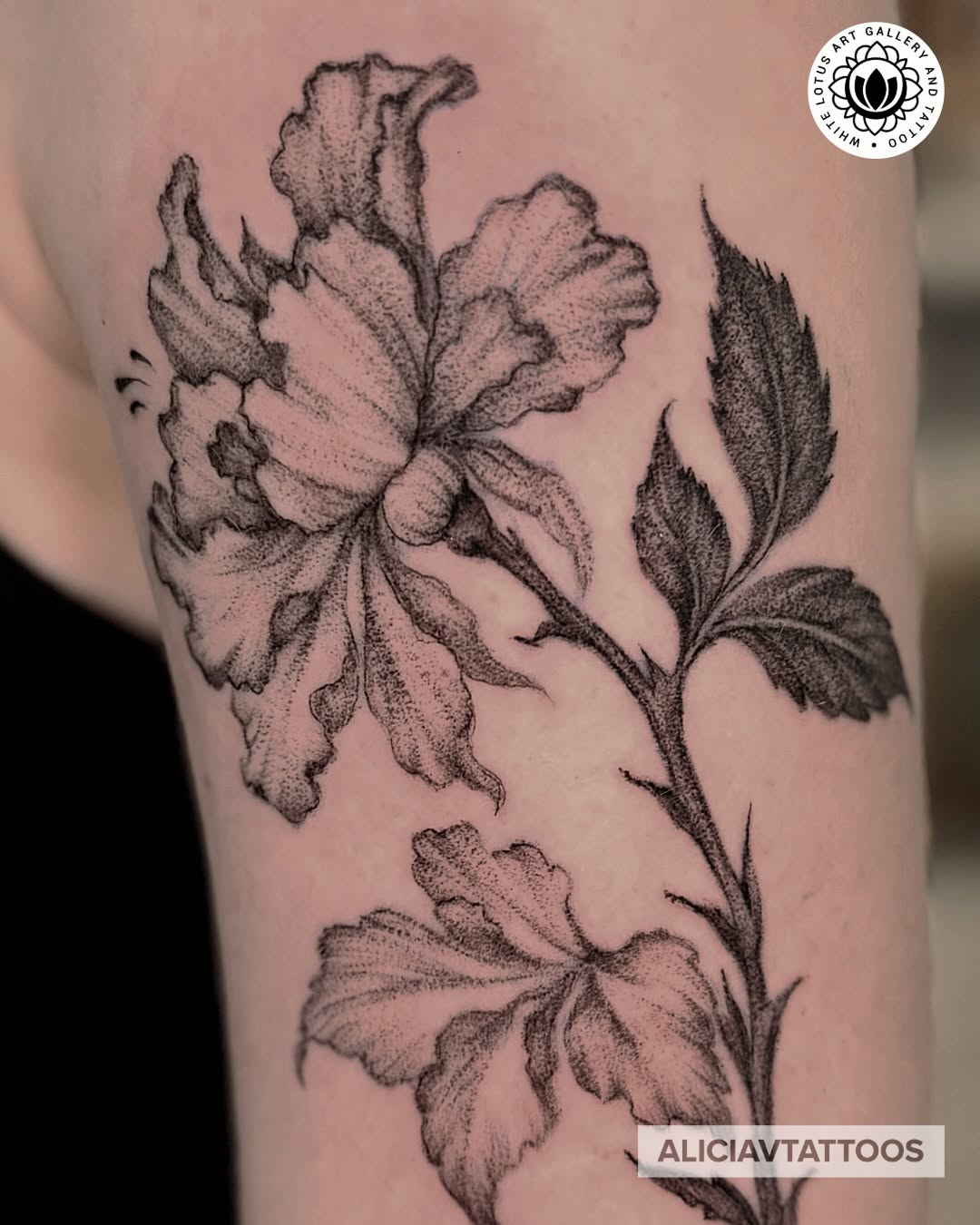 Tattoo by @aliciavtattoos — dotwork