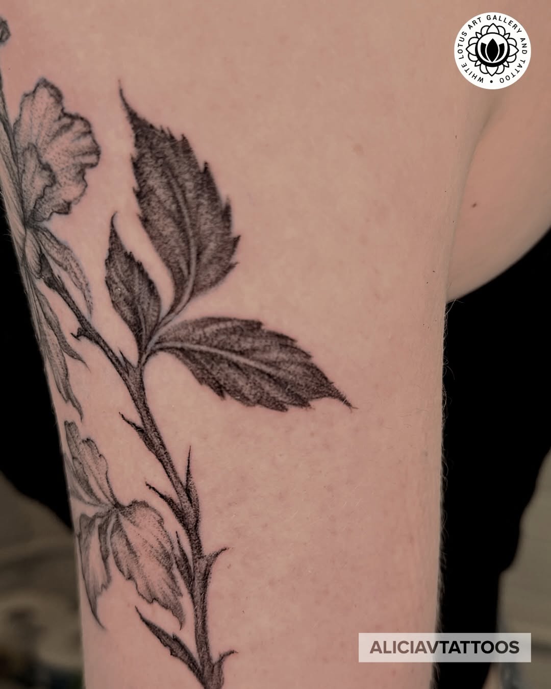 Tattoo by @aliciavtattoos — black_and_grey