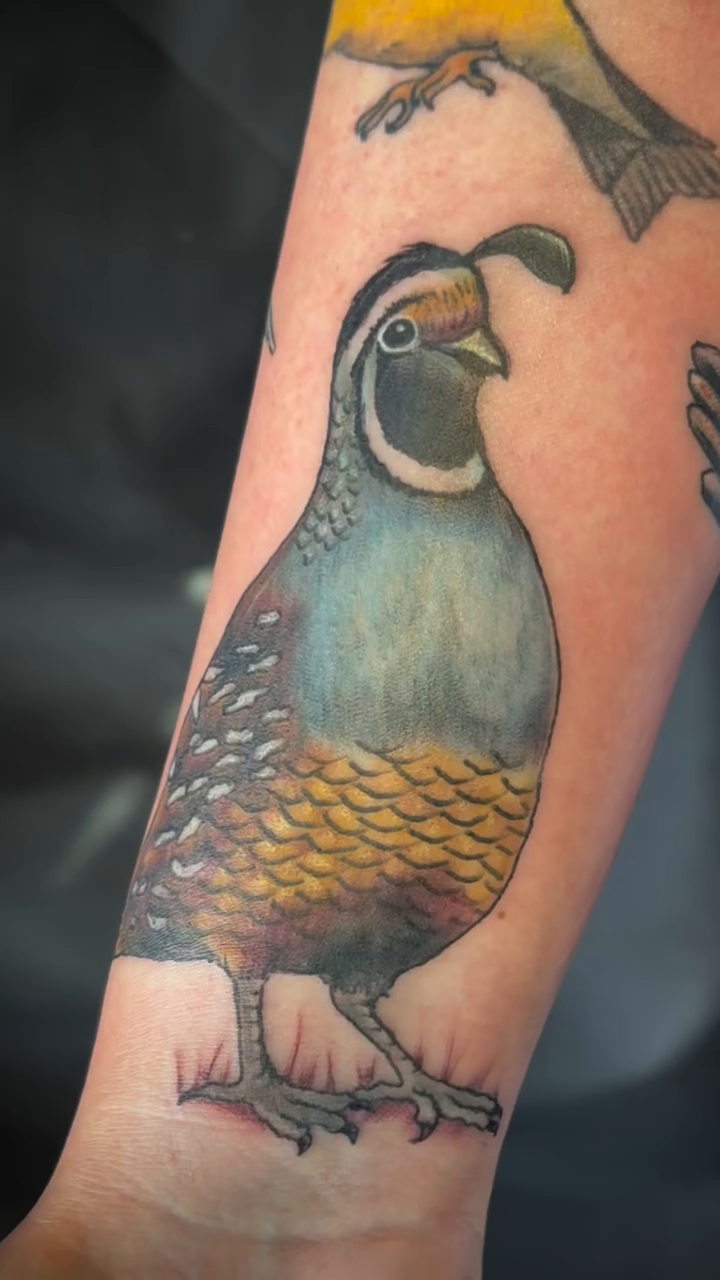 Tattoo by @nautilus.tattoo.studio — illustrative, realism