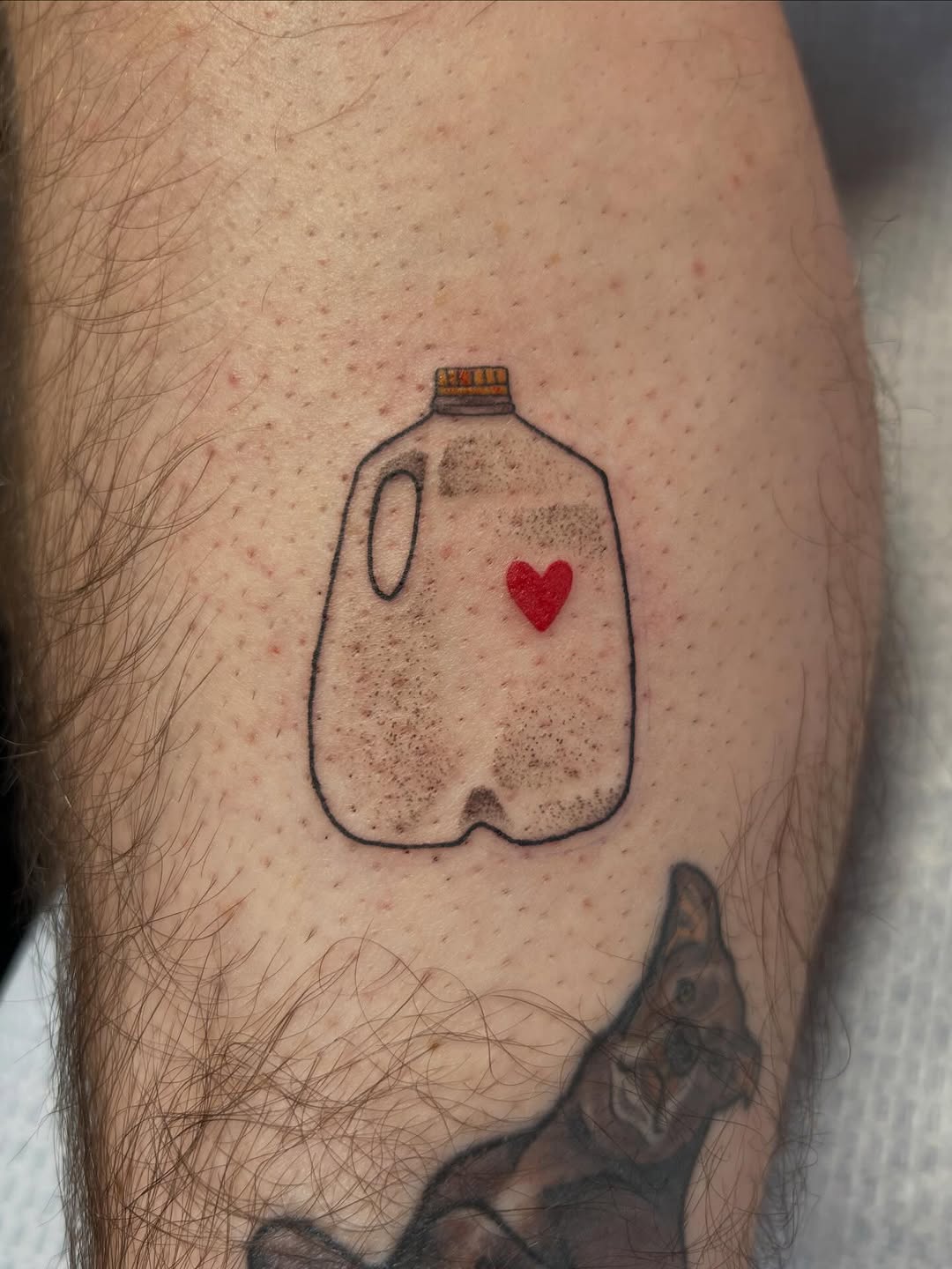 Tattoo by @katienowicki — ignorant