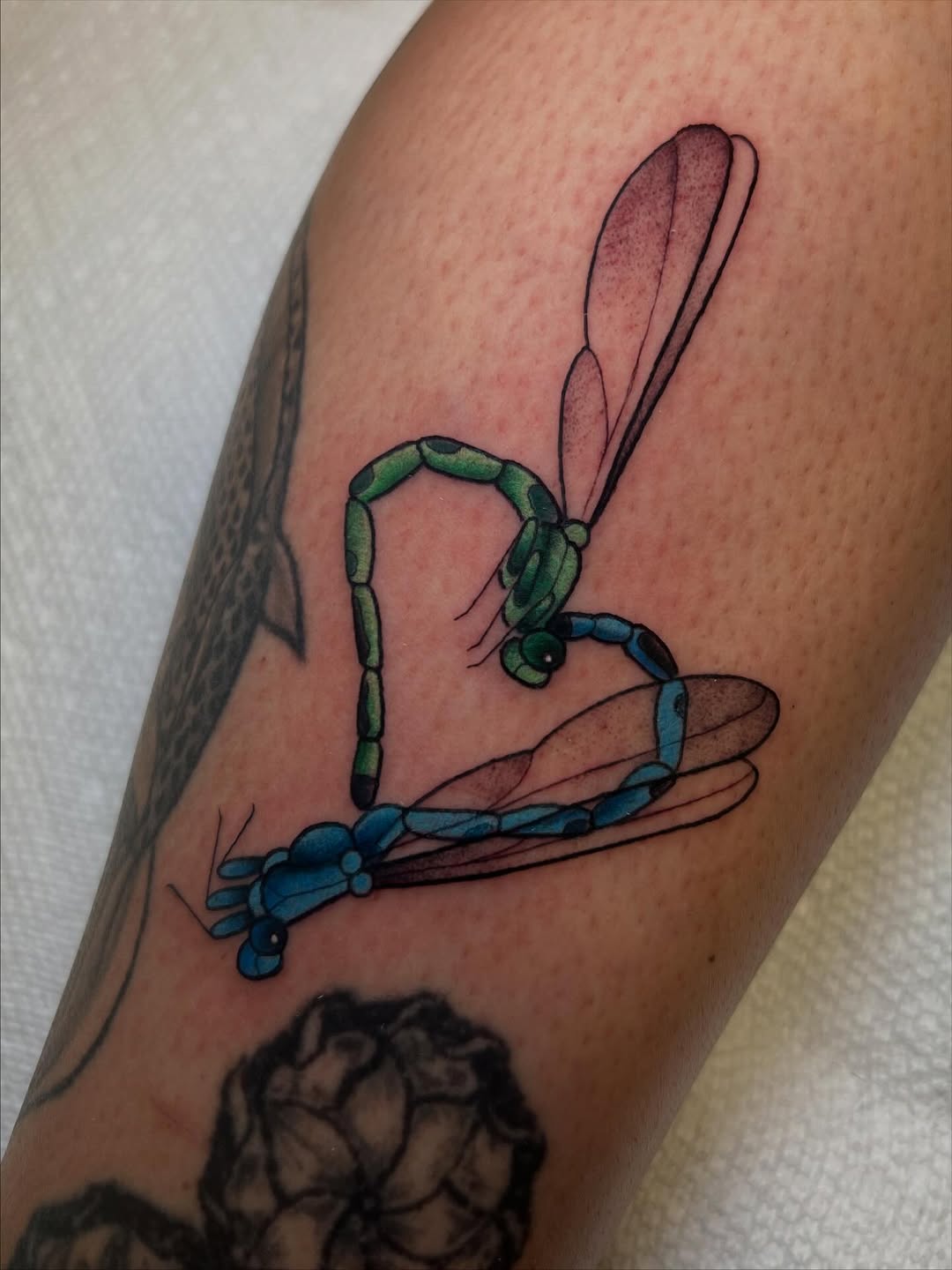 Tattoo by @katienowicki — fine_line, realism