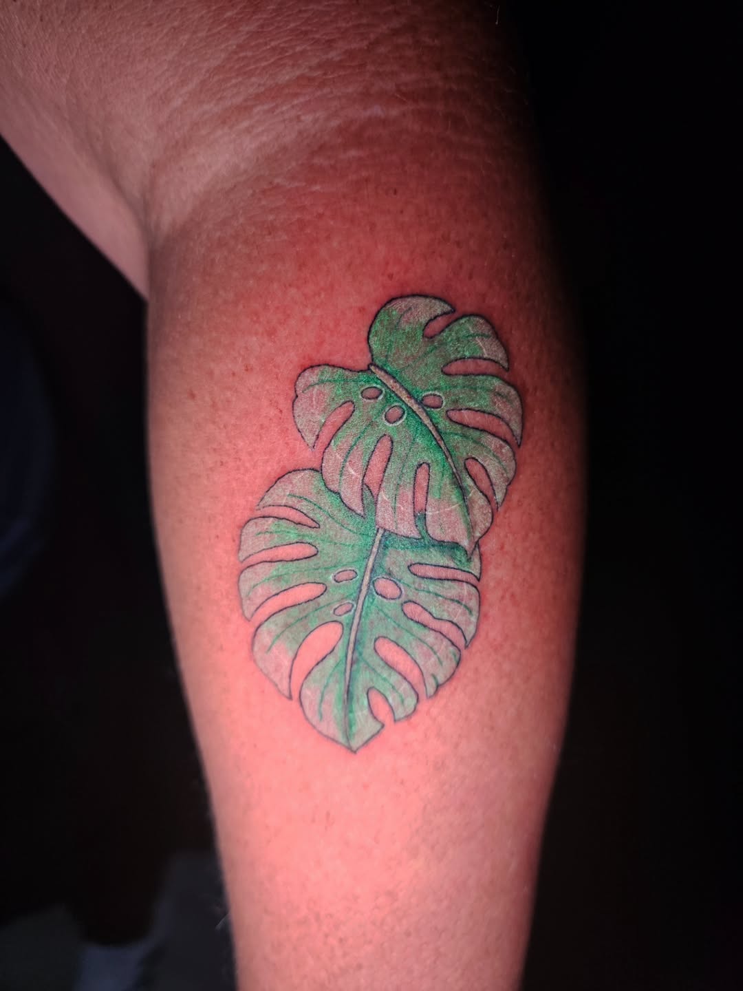 Tattoo by @carolynxriot.tattoos β fine_line, watercolor
